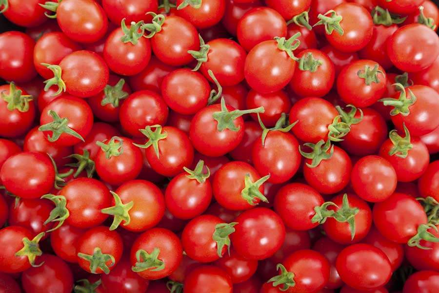 tomato to fight Collagen Deficiency for hair loss