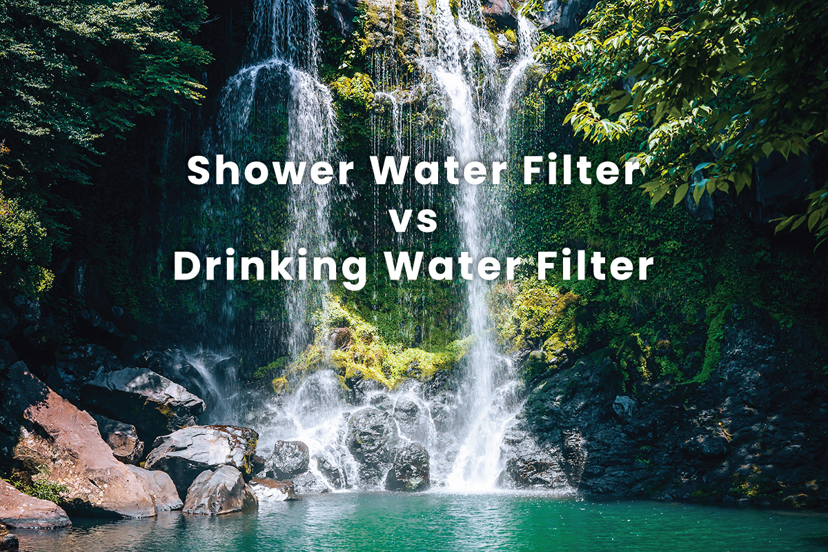 Differences between shower water filters and drinking water filters