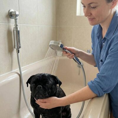 Alternative view of The Ultimate Shower Upgrade